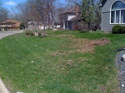 Spring cleanup before